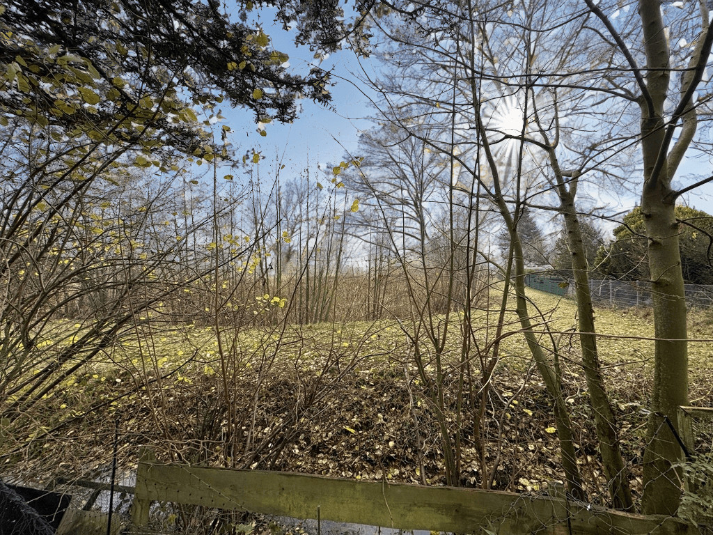 Freies Feld hinter dem Grundstück