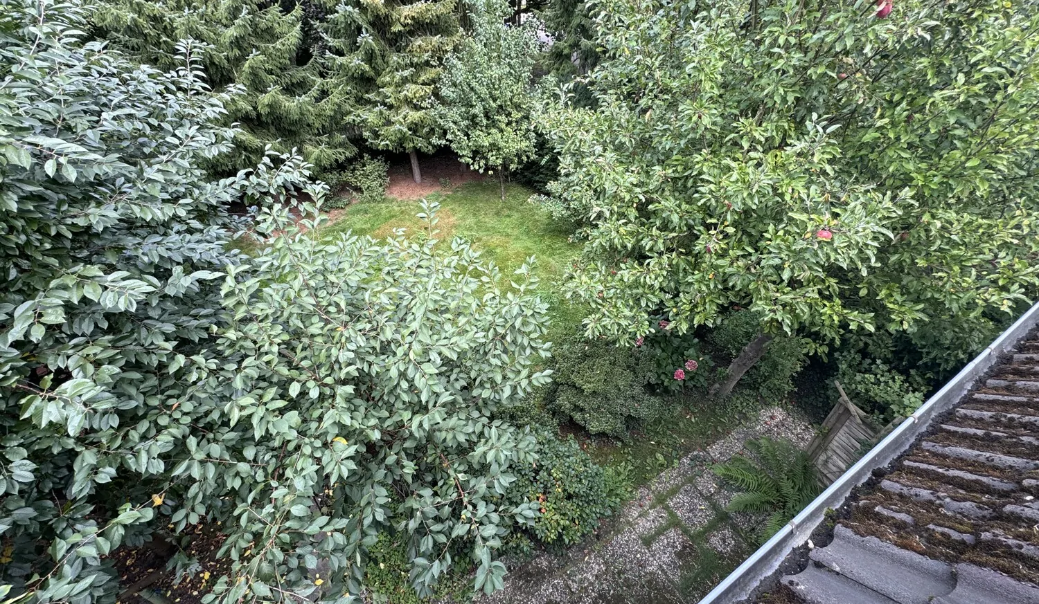 Blick von der Loggia in den Garten