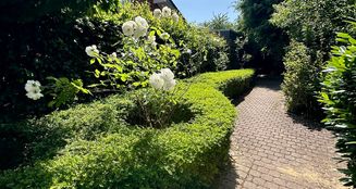 von_poll_real_estate_property_25038013_image_4