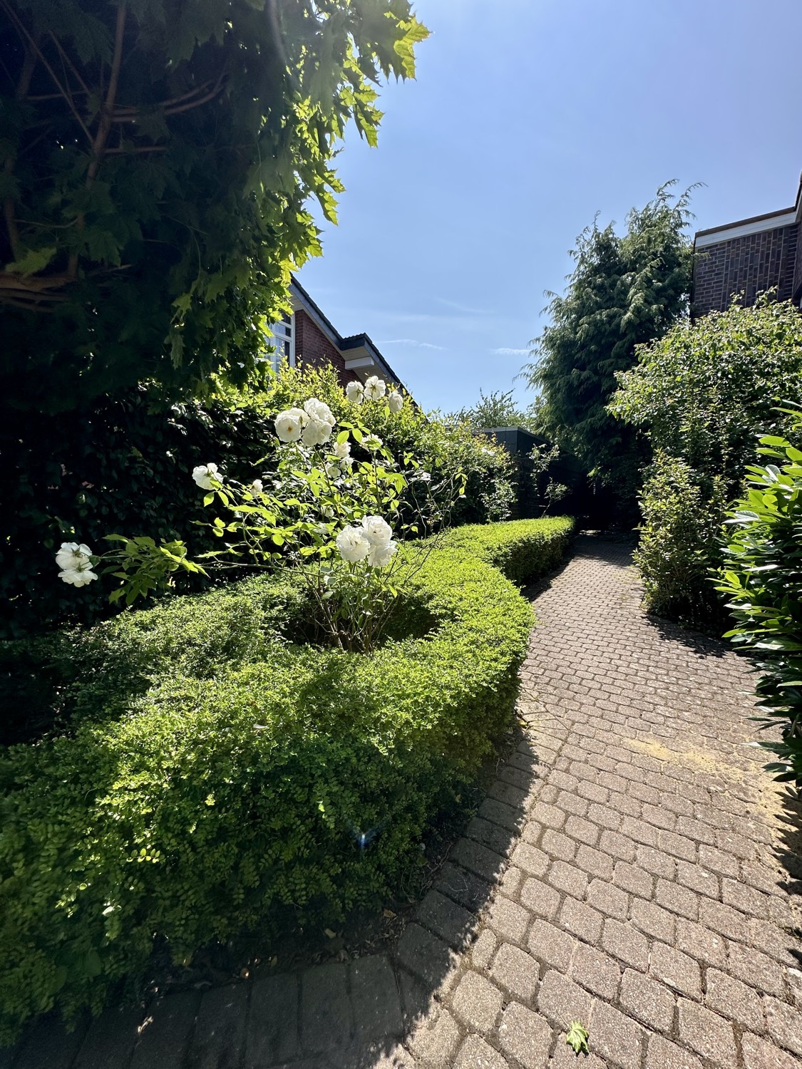 Vorgarten