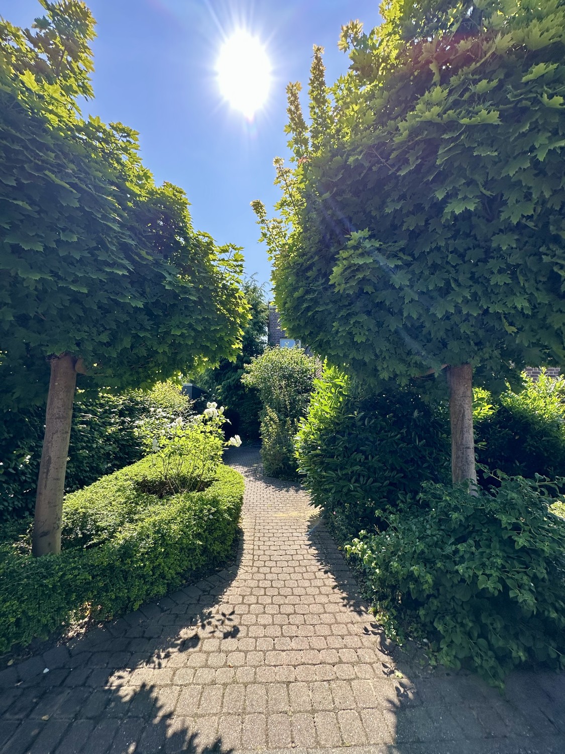 Vorgarten