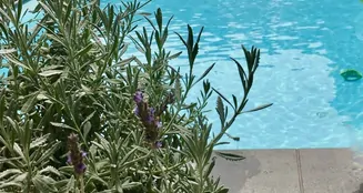 von_poll_real_estate_property_25038023_image_21