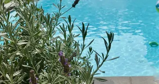 von_poll_real_estate_property_25038023_image_21