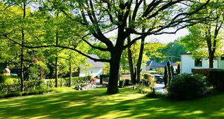 von_poll_real_estate_property_25038003_image_12