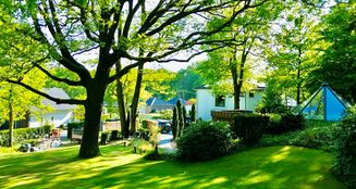 von_poll_real_estate_property_25038003_image_13