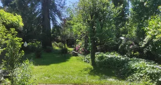 von_poll_real_estate_property_25008007_image_10