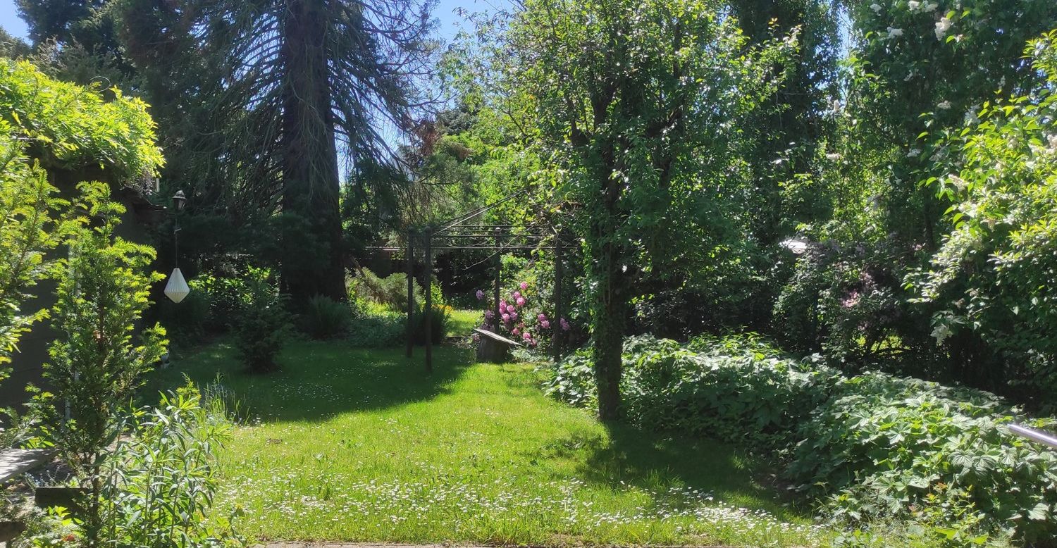 Sicht in den Garten