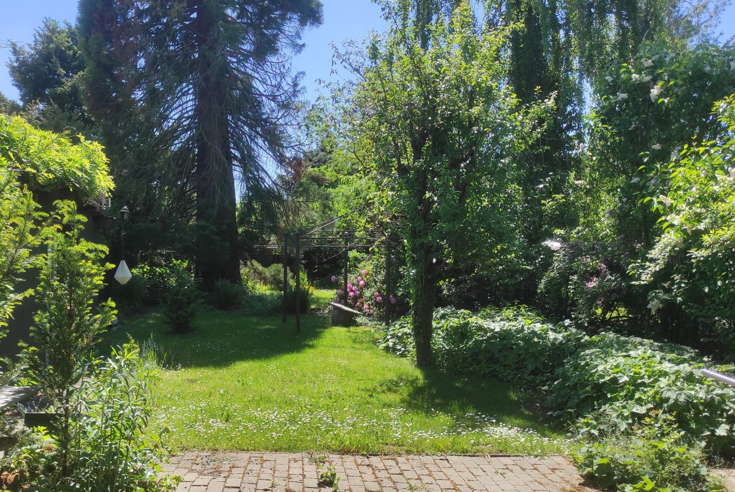 Sicht in den Garten