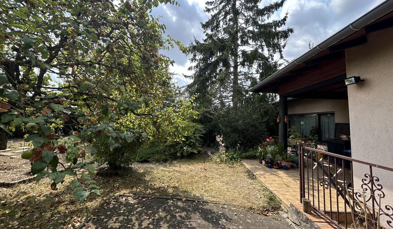 Garten /Terrasse