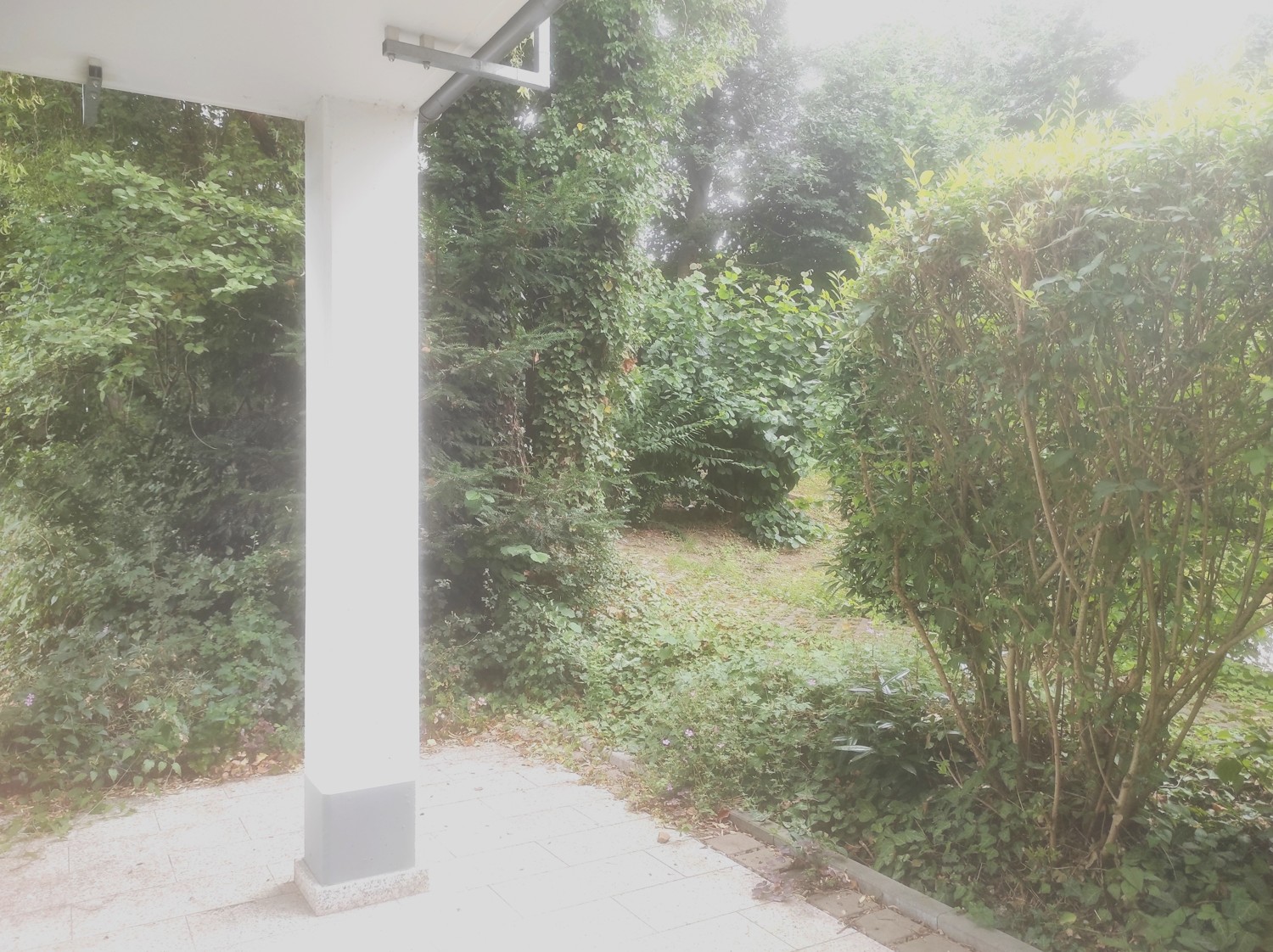 Ausblick ins Grüne
