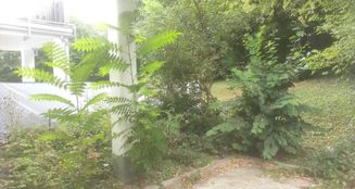 von_poll_real_estate_property_25008009_image_16