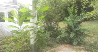 von_poll_real_estate_property_25008009_image_0