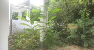 von_poll_real_estate_property_25008009_image_1