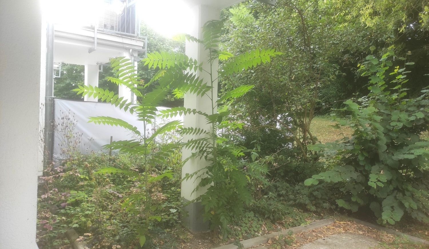 Private Terrasse