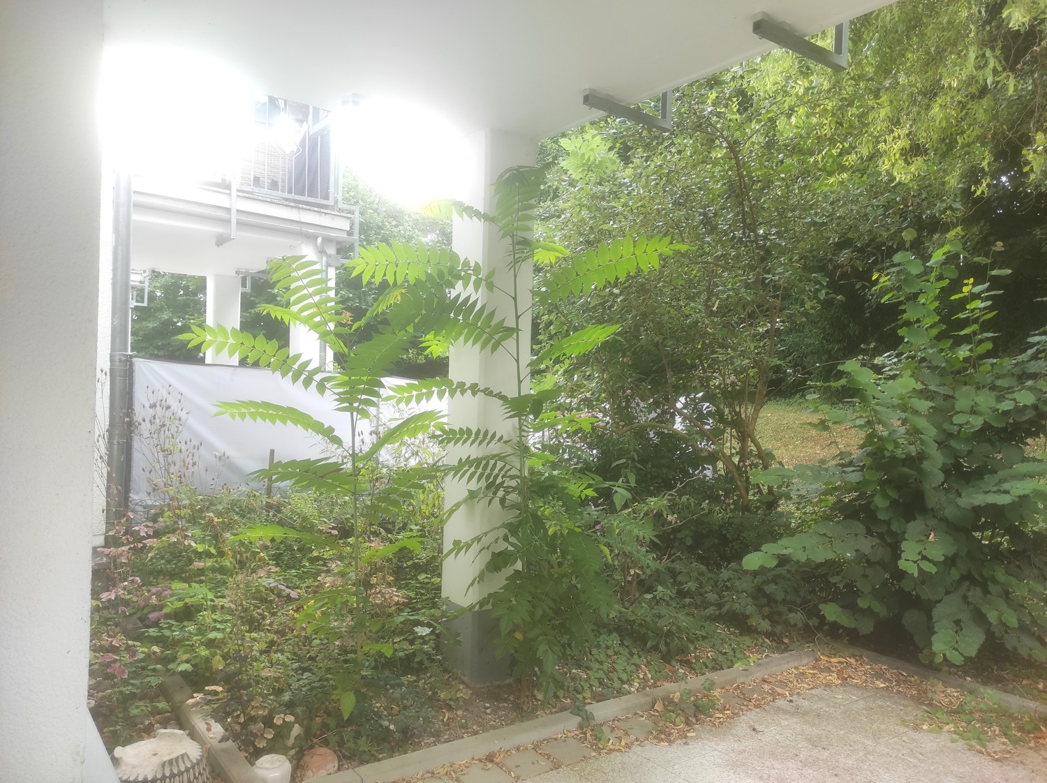 Private Terrasse