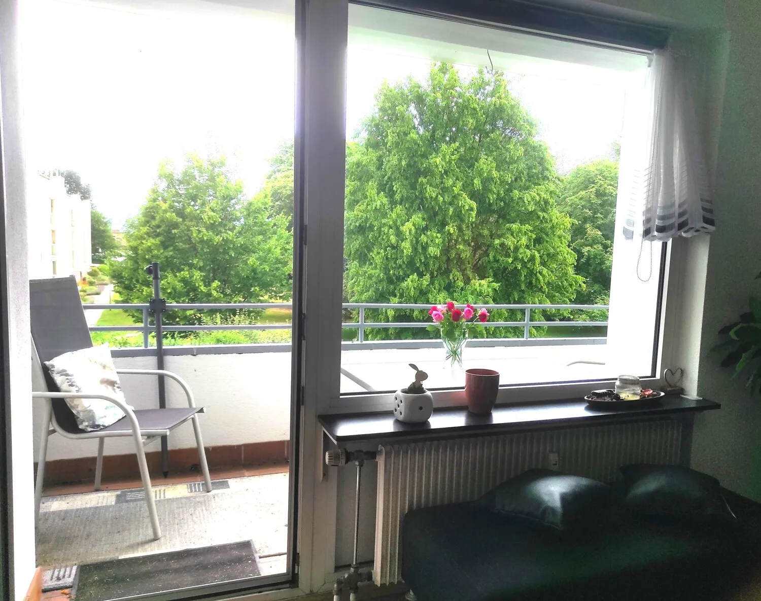 Blick ins Grüne