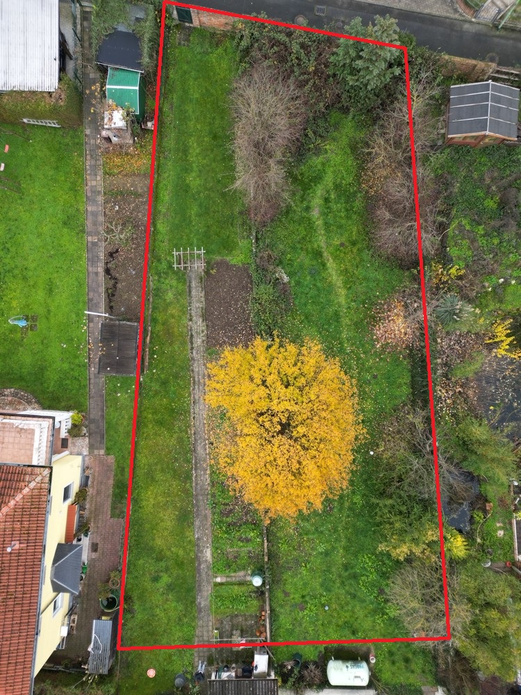 Bild IV