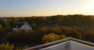 von_poll_real_estate_property_23008004_image_6