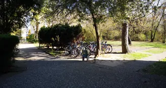 von_poll_real_estate_property_23008004_image_12