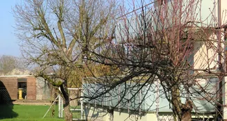 von_poll_real_estate_property_24002025a_image_3