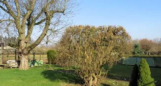 von_poll_real_estate_property_24002025a_image_2