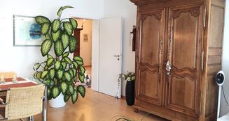 von_poll_real_estate_property_25008004_image_4