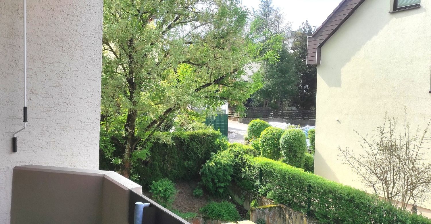 Blick ins Grüne