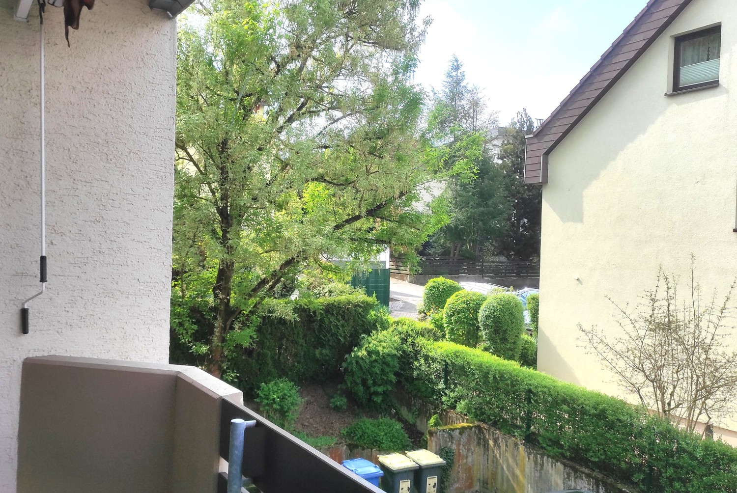 Blick ins Grüne