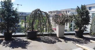 von_poll_real_estate_property_25008006_image_2