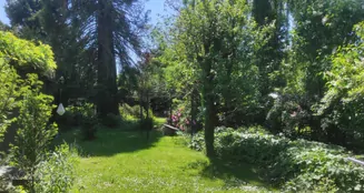 von_poll_real_estate_property_24008016_image_2