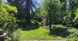 von_poll_real_estate_property_24008016_image_3