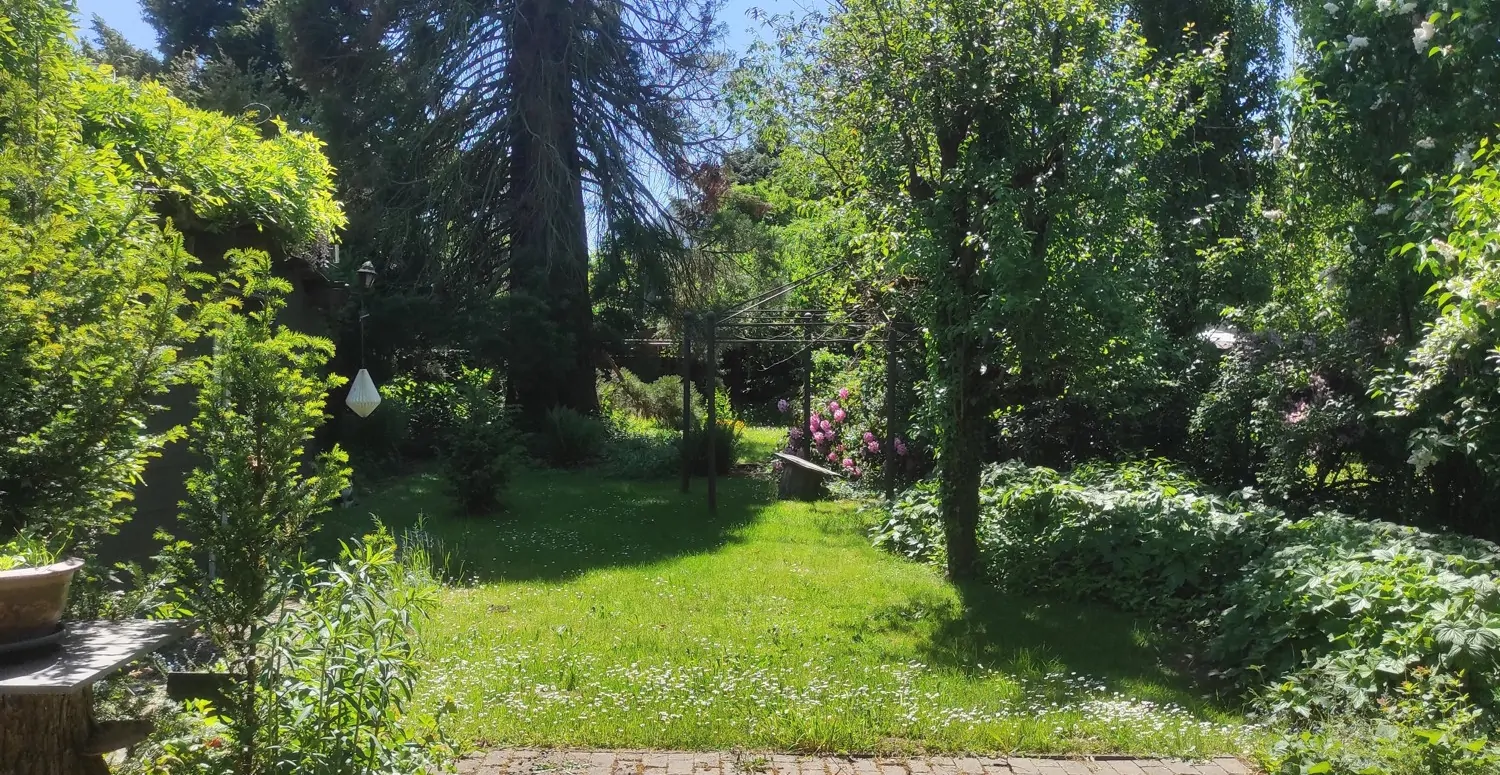 Garten hinter dem Haus