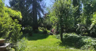 von_poll_real_estate_property_24008016_image_3