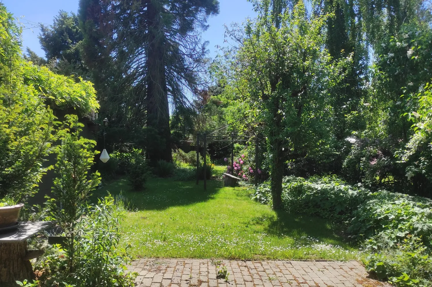 Garten hinter dem Haus