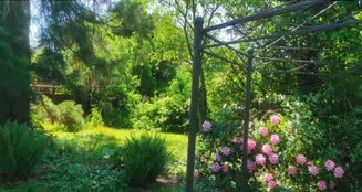 von_poll_real_estate_property_24008016_image_0