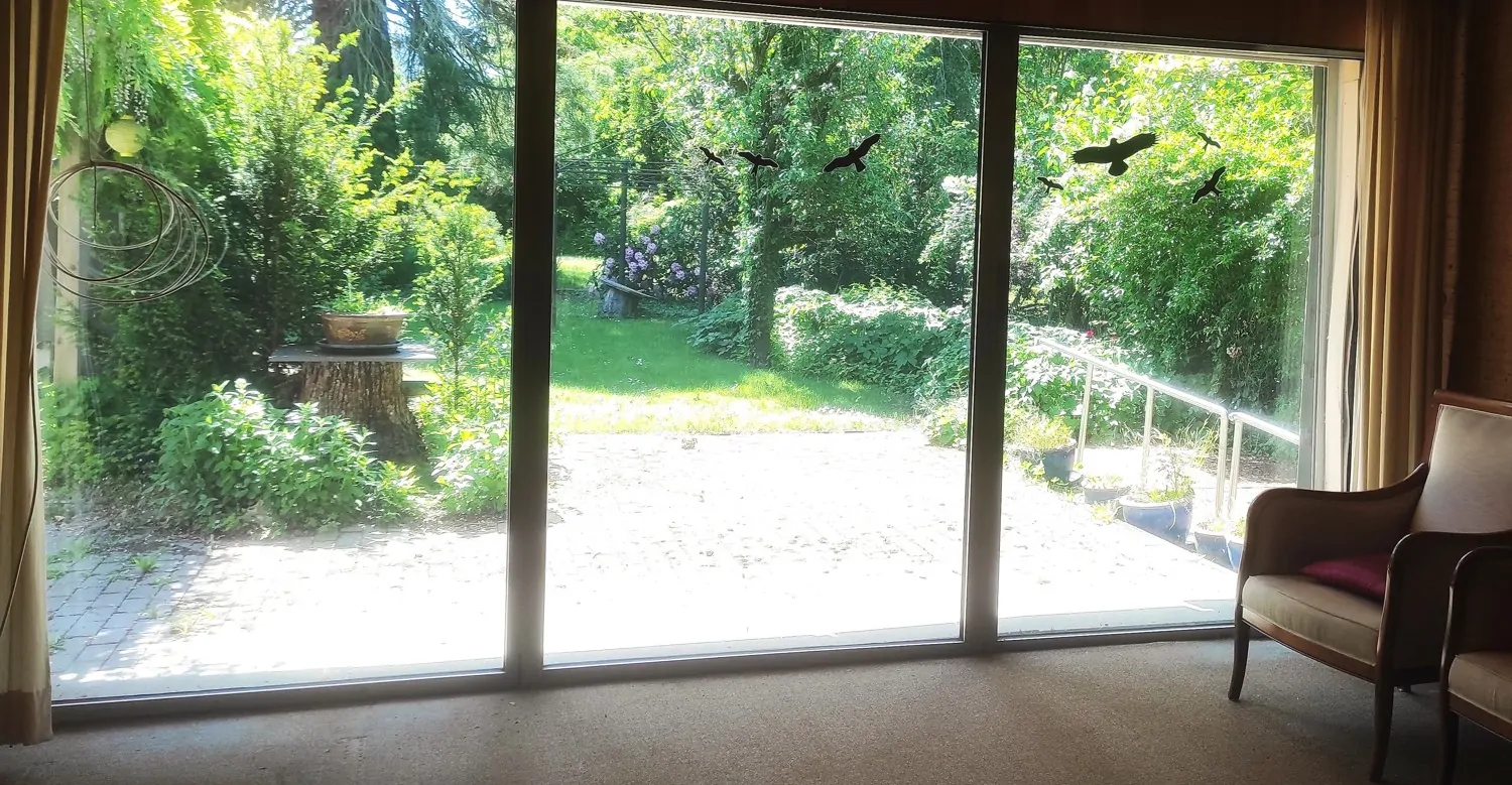 Anbau - gr. Terrassenfenster