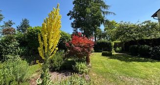 von_poll_real_estate_property_25008001_image_5