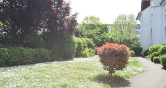 von_poll_real_estate_property_25004029_image_7