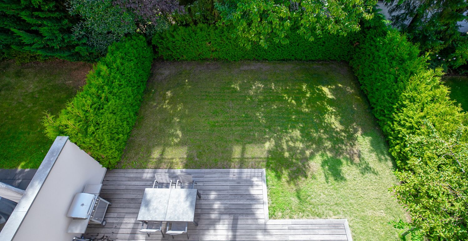 Blick in den Garten