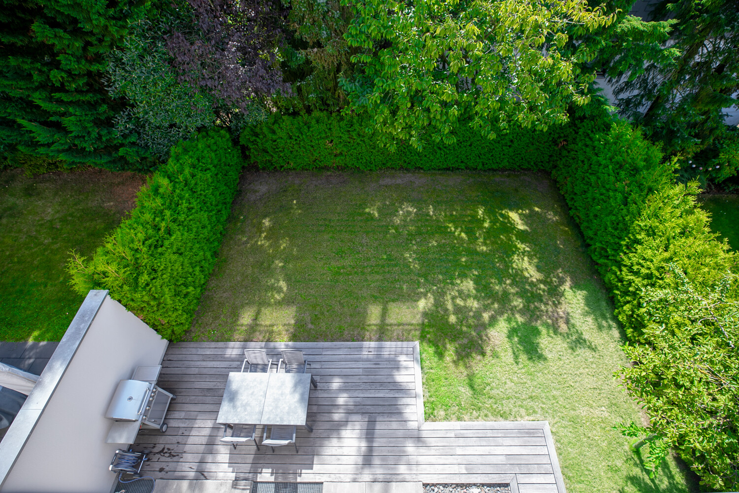 Blick in den Garten