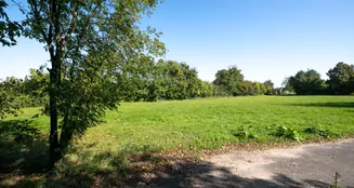 von_poll_real_estate_property_25004054_image_20