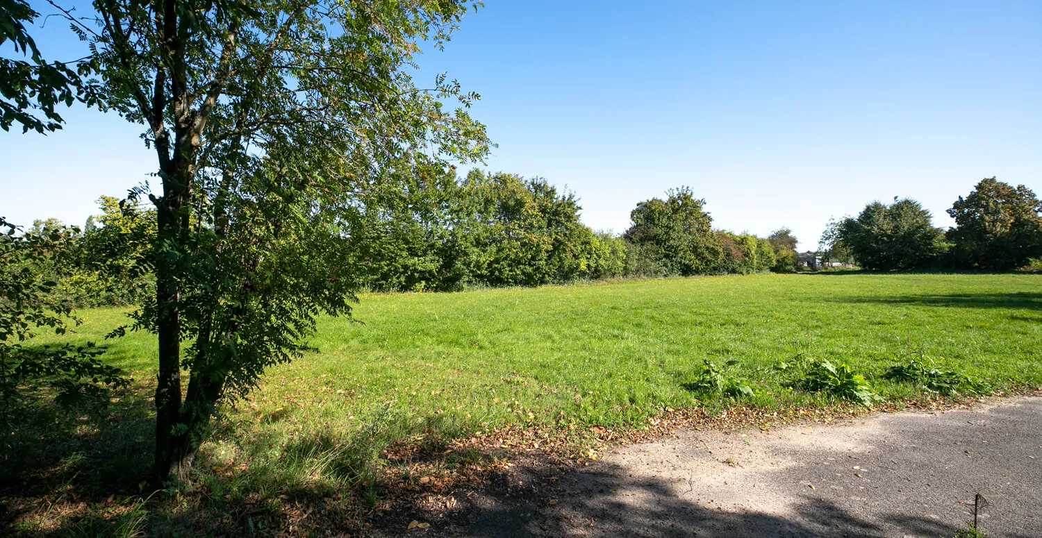 Feldrand hinter dem Grundstück