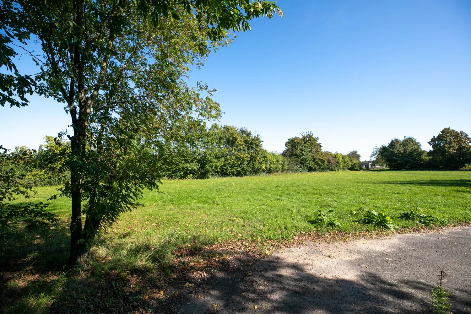 Feldrand hinter dem Grundstück
