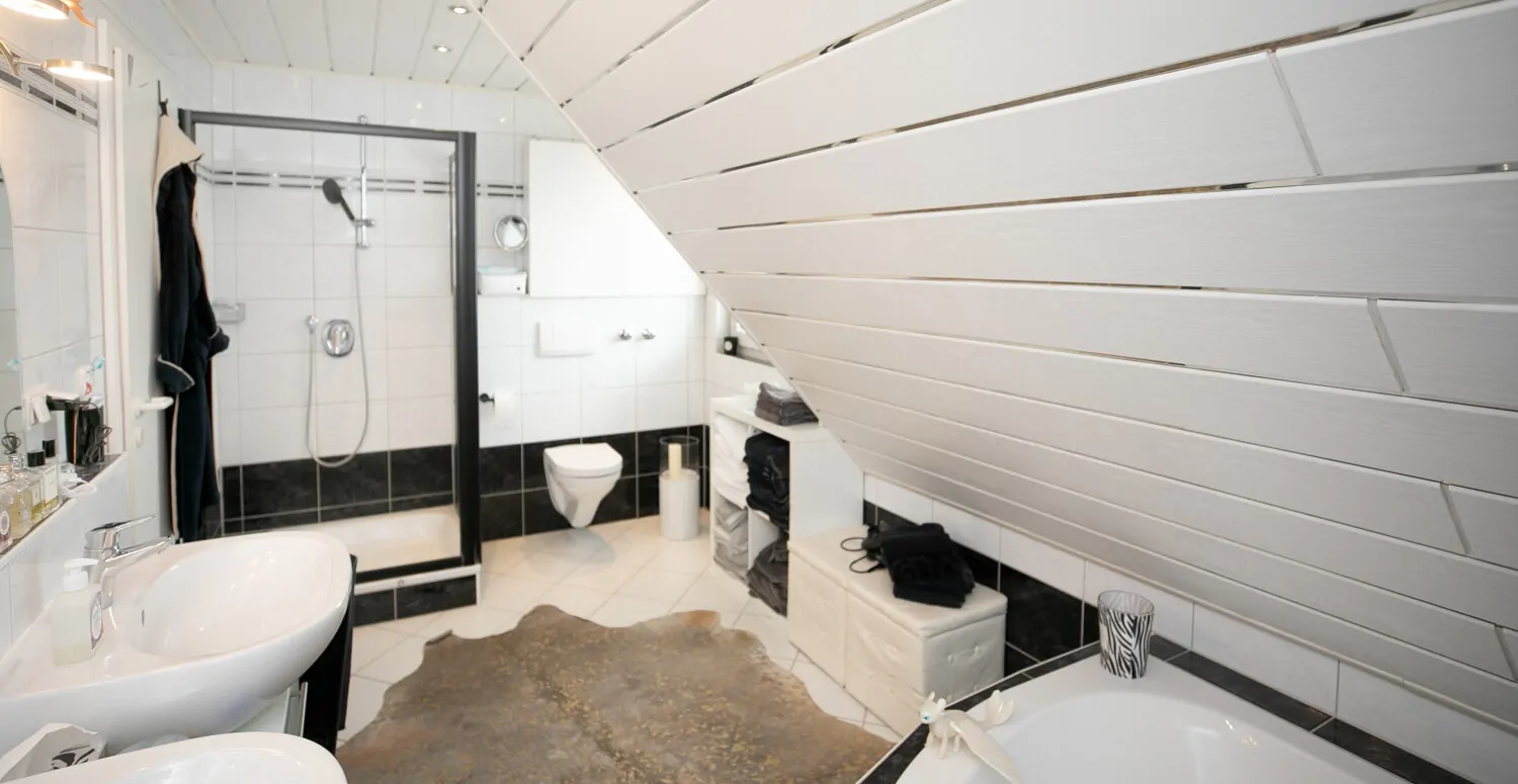 Badezimmer Ansicht II-OG