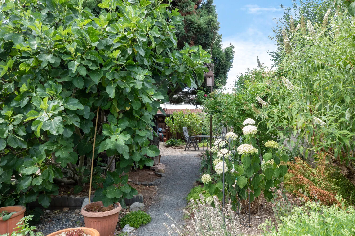 Garten Blick nach hinten