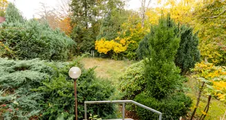 von_poll_real_estate_property_25004013_image_13