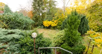 von_poll_real_estate_property_25004013_image_13