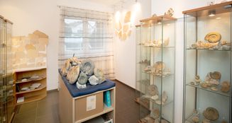 von_poll_real_estate_property_24004063_image_7