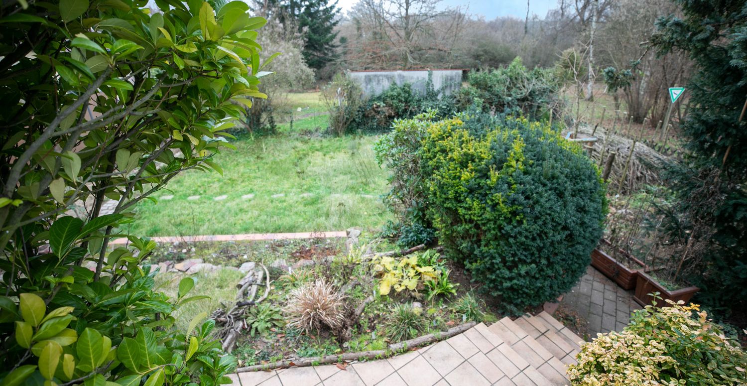 Blick in den Garten