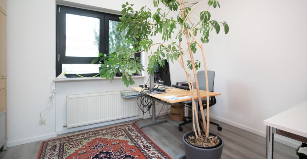 Arbeitszimmer Zwischengeschoss